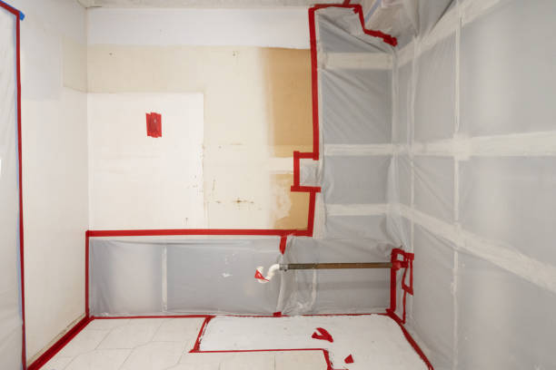 Dehumidification Services in River Ridge, FL
