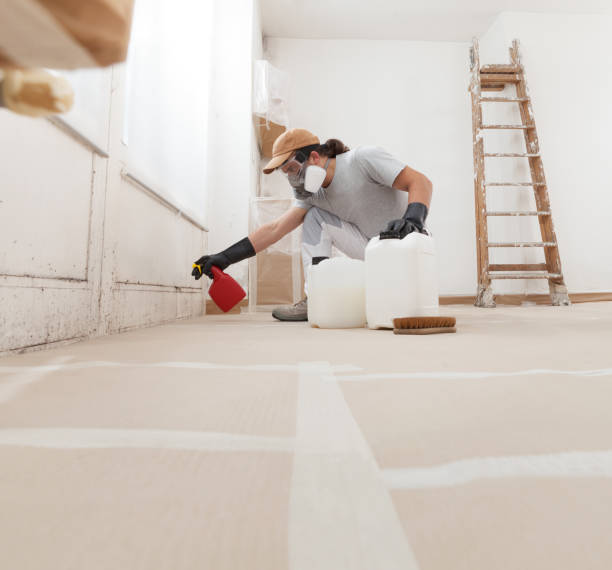 Best Emergency Mold Remediation  in River Ridge, FL
