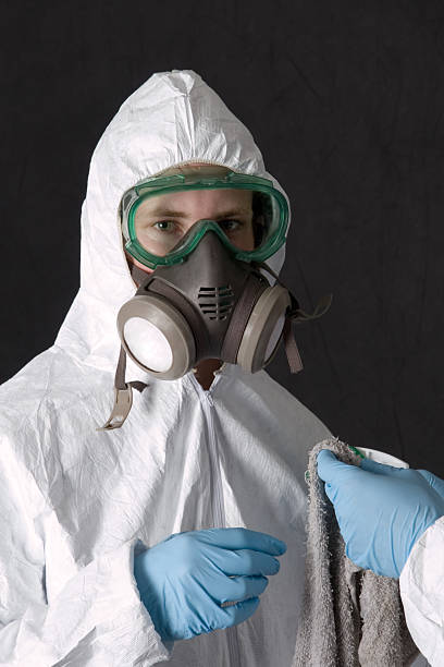 Best Mold Odor Removal Services  in River Ridge, FL